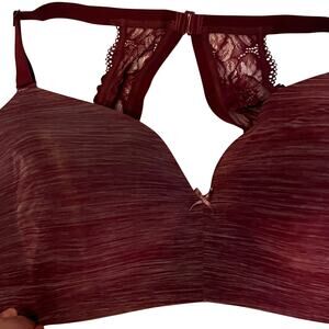 Cacique 44D Bra BNWT Maroon
